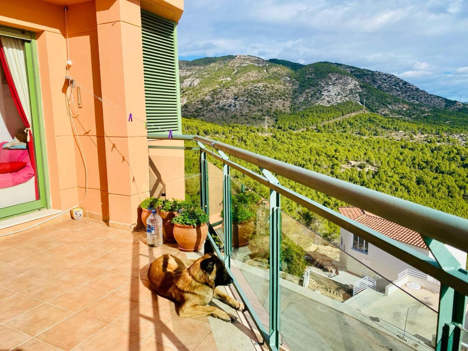Apartamento Precioso ático en la Sierra de Irta Alcossebre Exterior foto